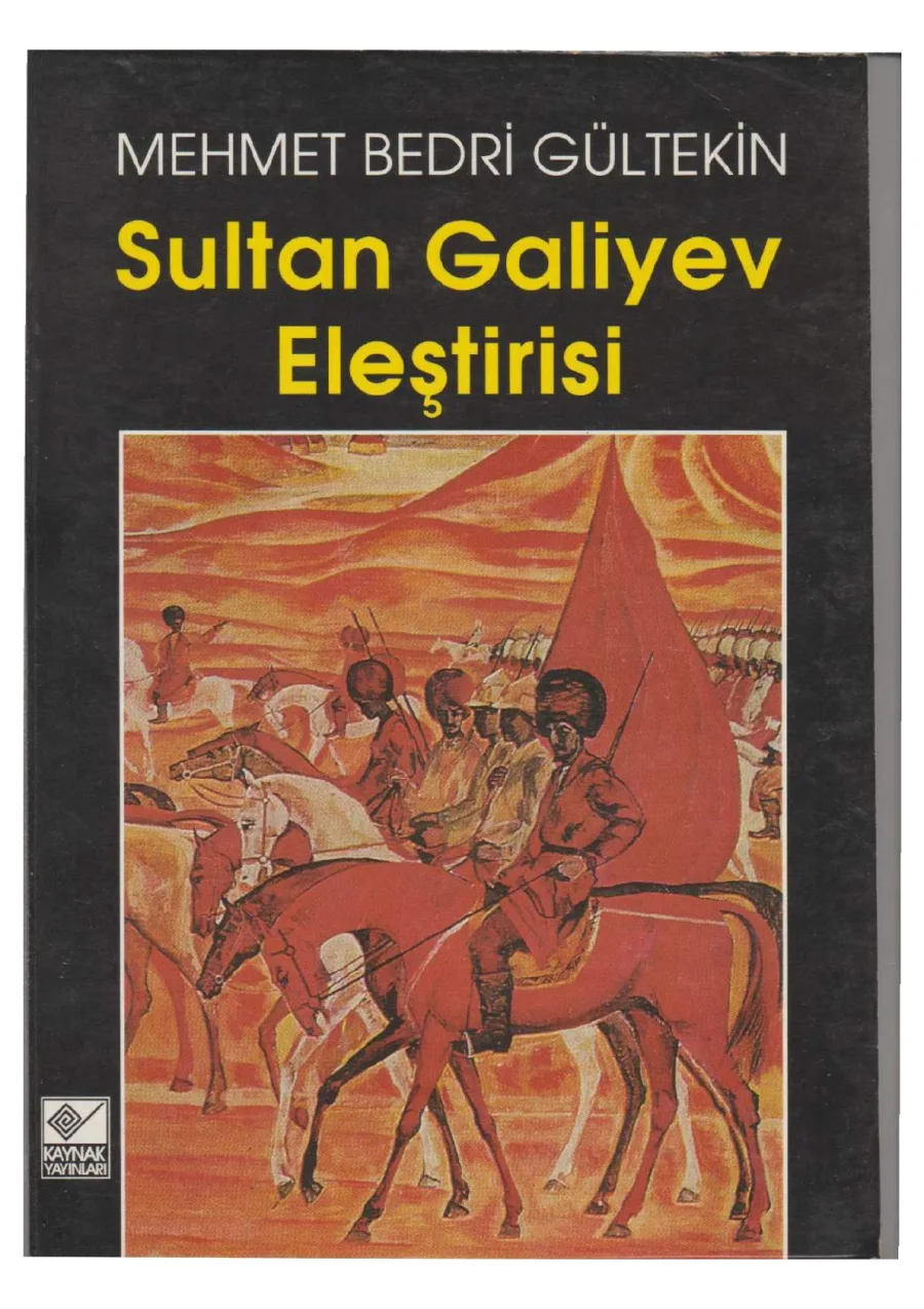 Sultan Galiyev Eleştirisi PDF kapak görseli
