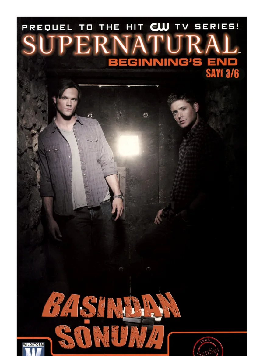 Supernatural: Beginning's End 3 kapak görseli