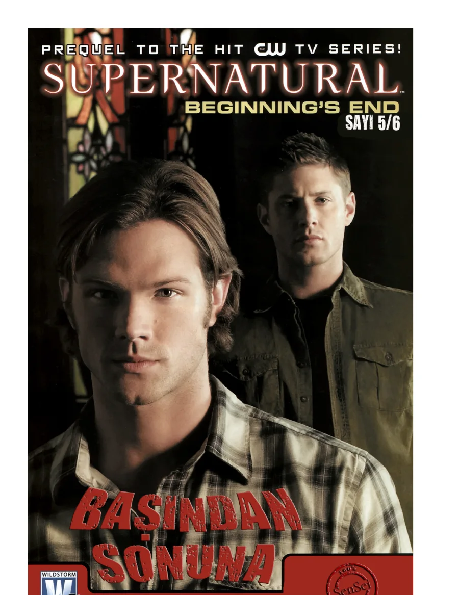 Supernatural: Beginning's End 5 kapak görseli