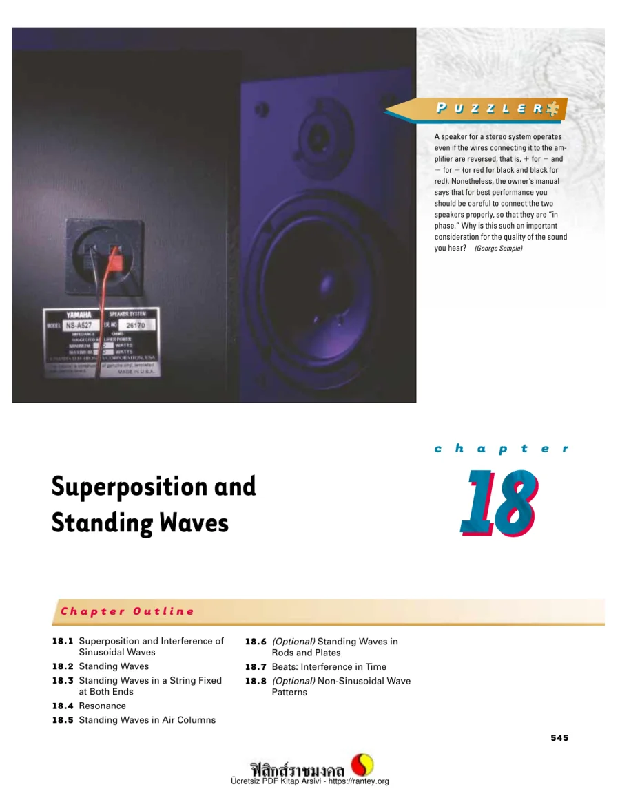 Superposition and Standing Waves kapak görseli