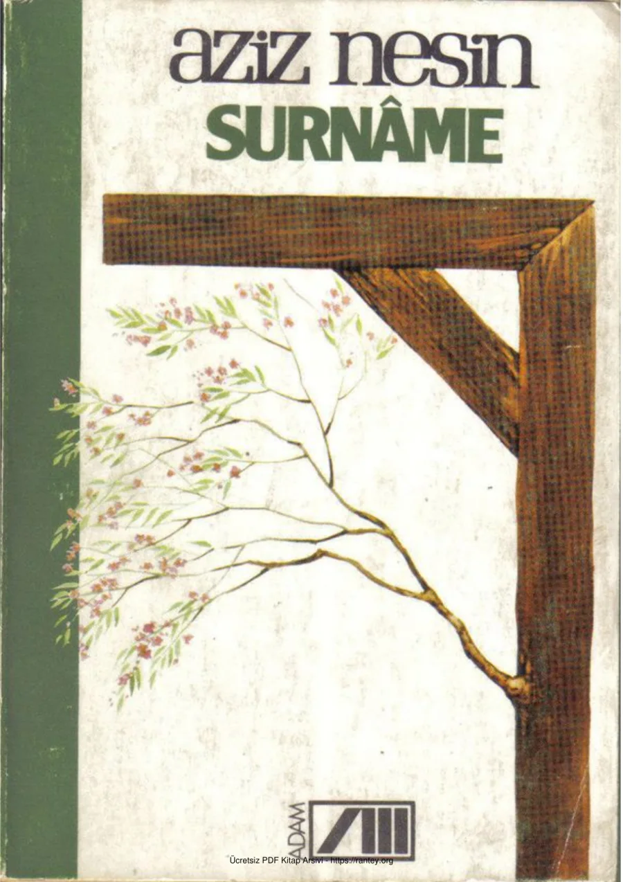 Surnme kapak görseli