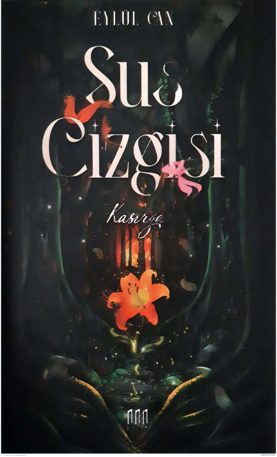 Sus Çizgisi 1: Kasırga kapak görseli