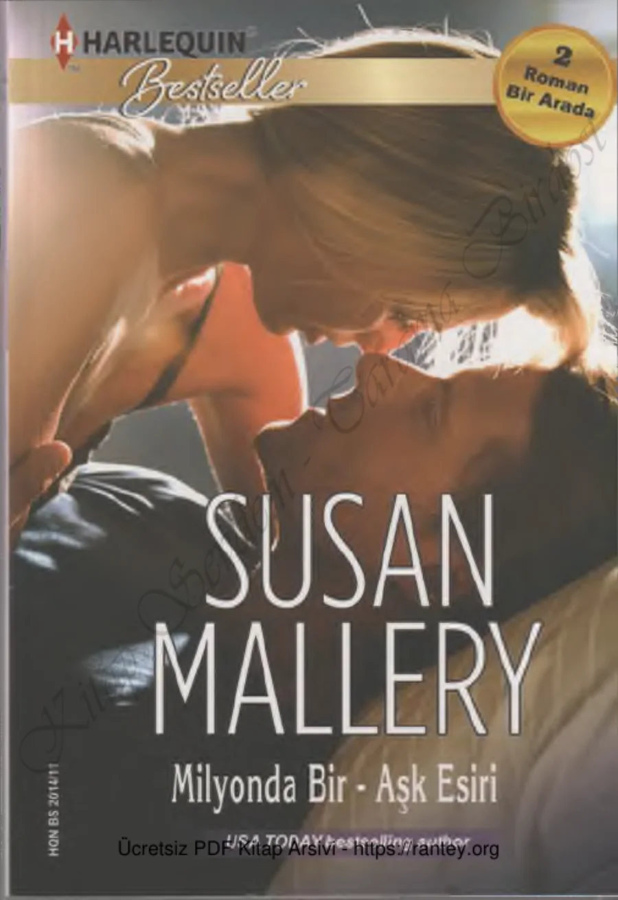 Susan Mallery Aşk Esiri kapak görseli