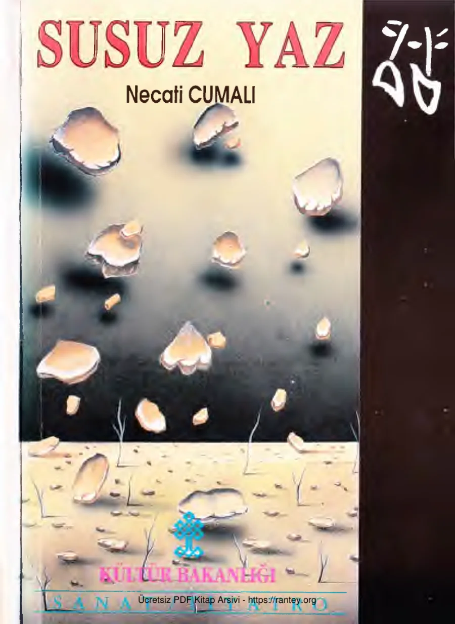Susuz Yaz kapak görseli