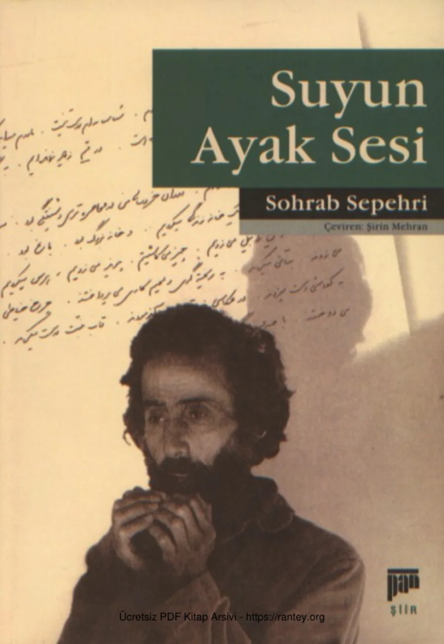 Suyun Ayak Sesi kapak görseli