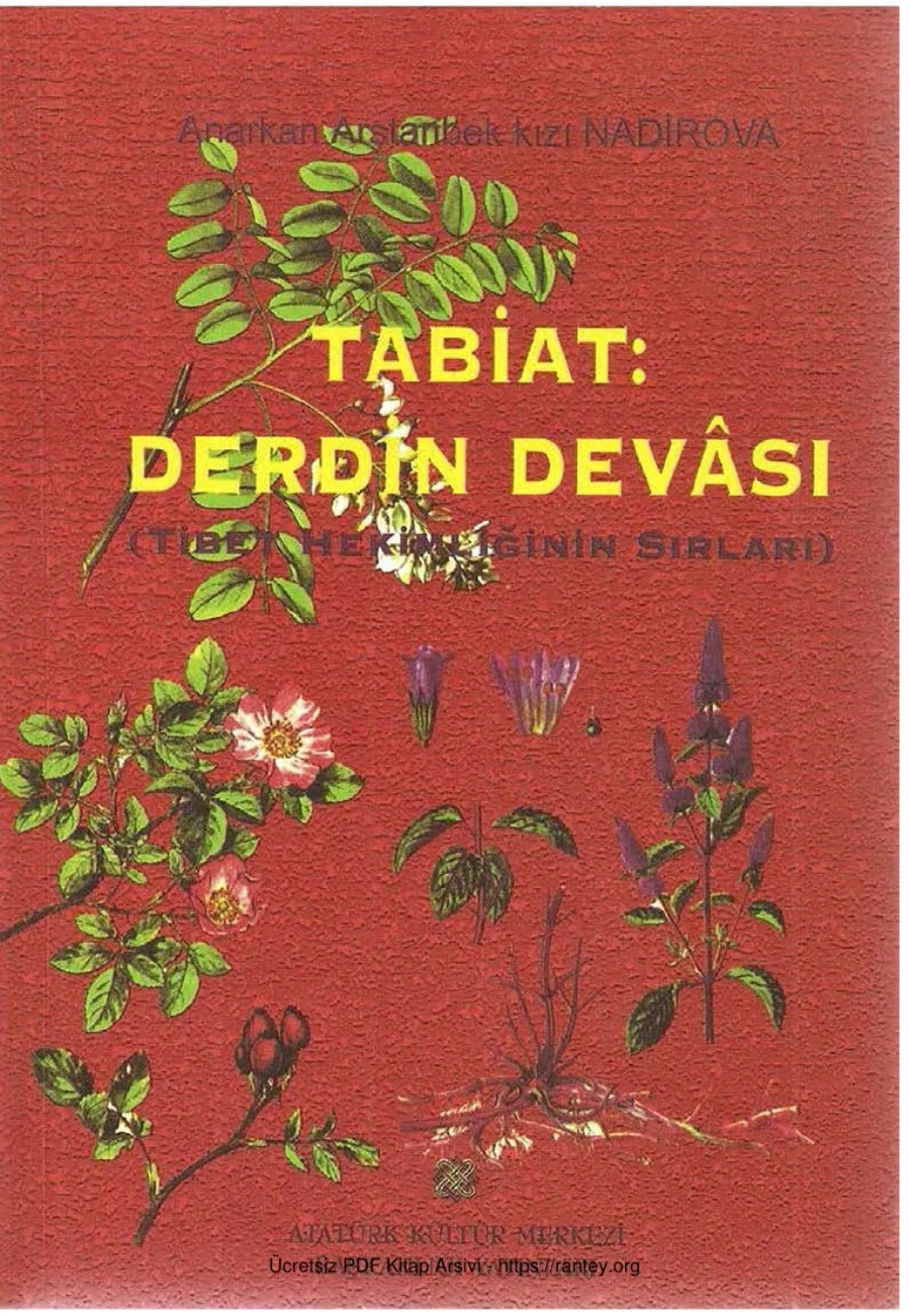 Tabiat Derdin Devası kapak görseli