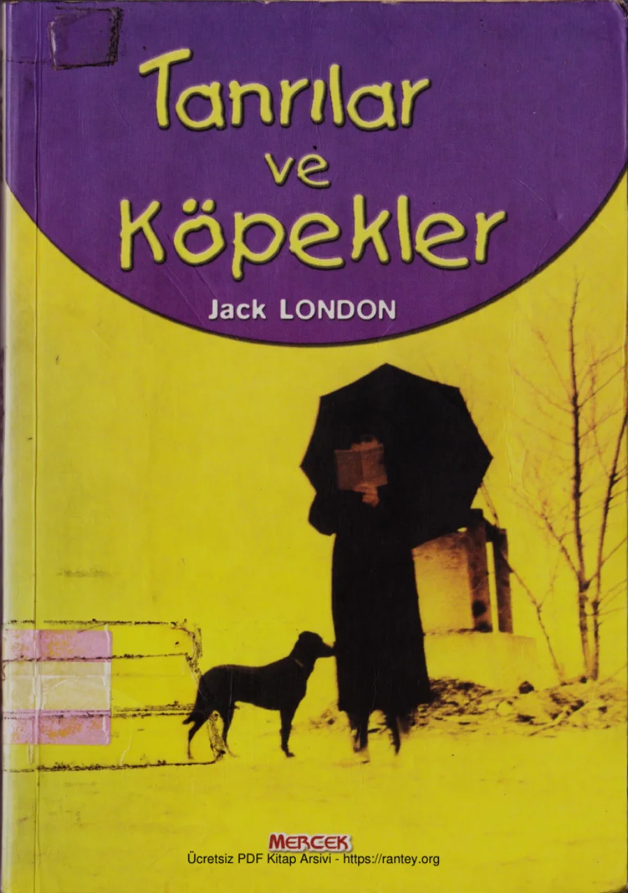 Tanrılar ve Köpekler Mercek Yayınları kapak görseli