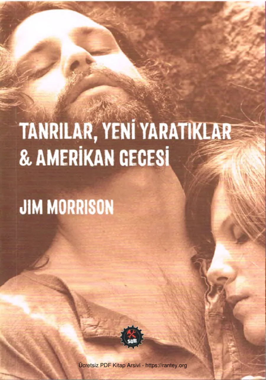 Tanrılar Yeni Yaratıklar Amerikan Gecesi SUB Yayınları kapak görseli