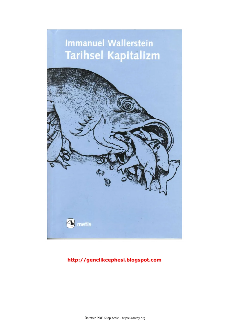 Tarihsel Kapitalizm kapak görseli