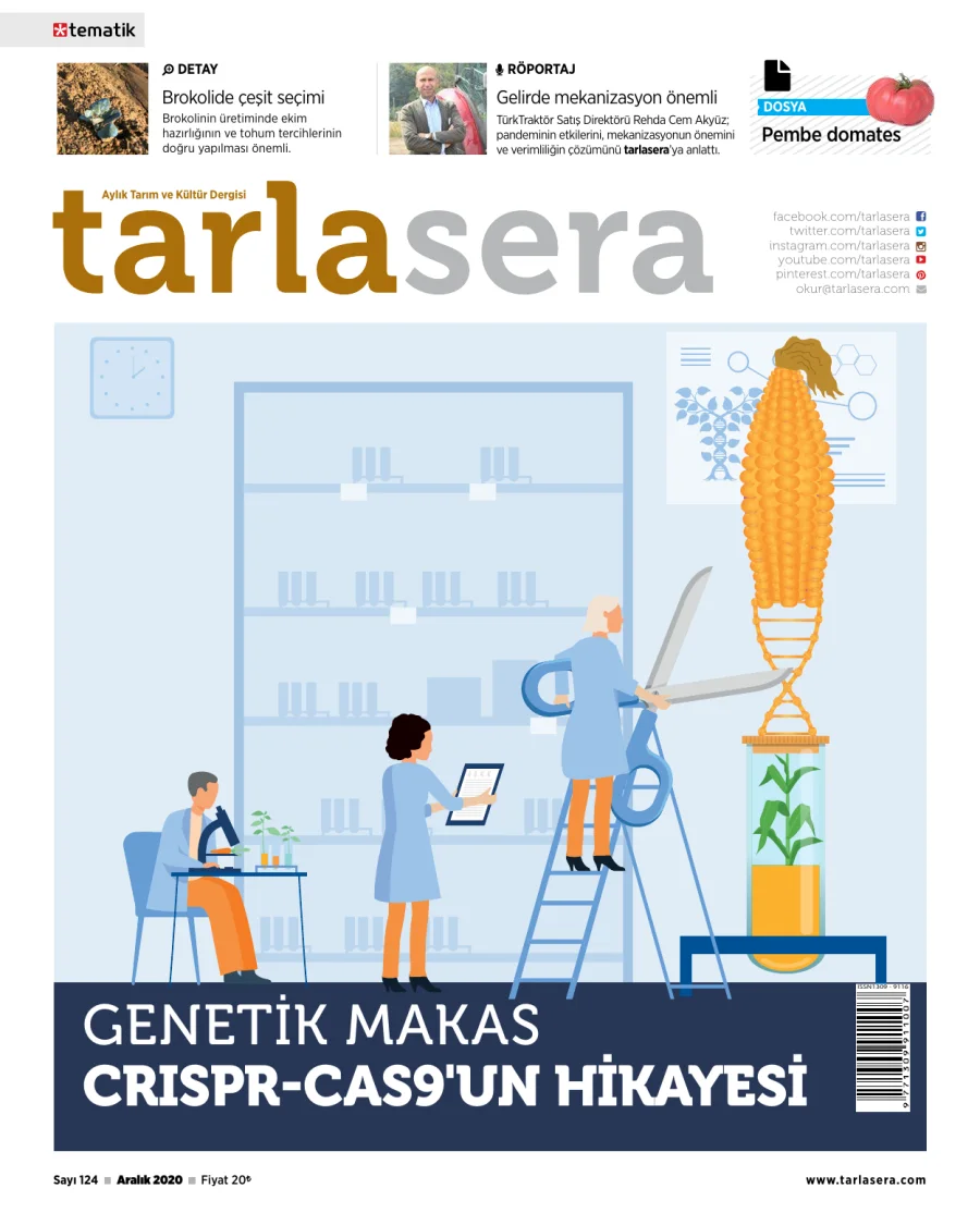 Tarlasera - Aralık 2020 kapak görseli