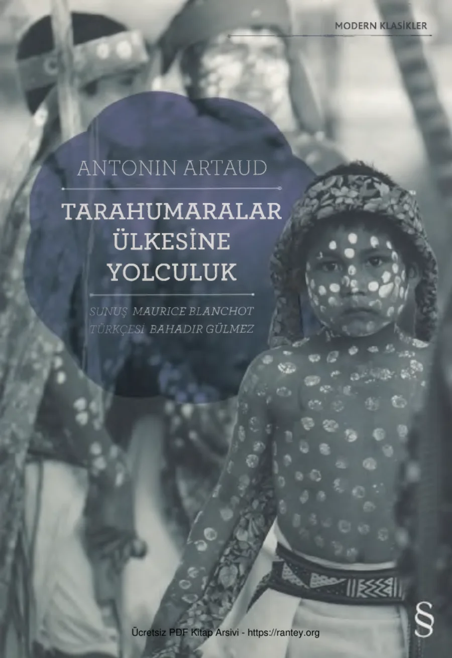 Taruhamaralar Ülkesine Yolculuk kapak görseli