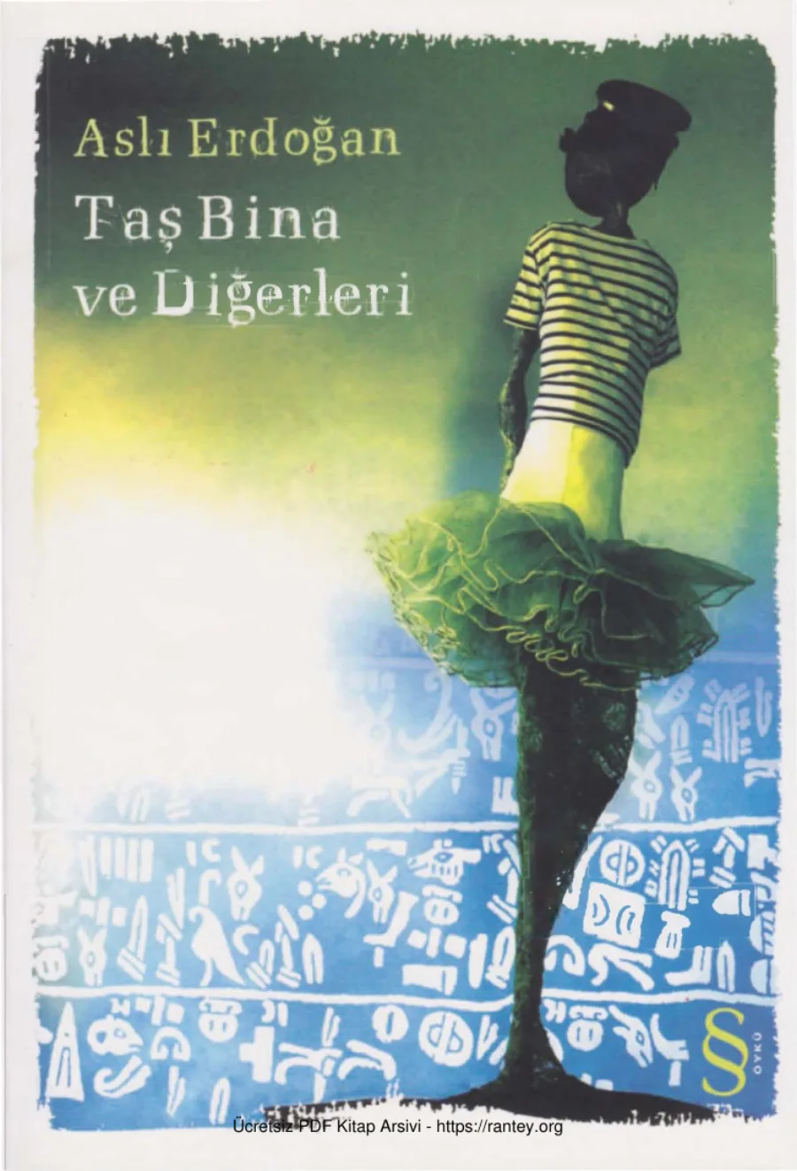 Taş Bina ve Diğerleri kapak görseli