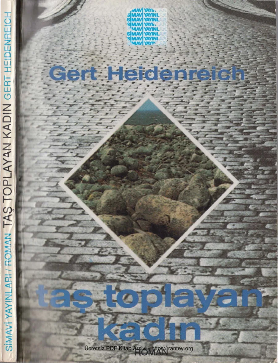 Taş Toplayan Kadın kapak görseli