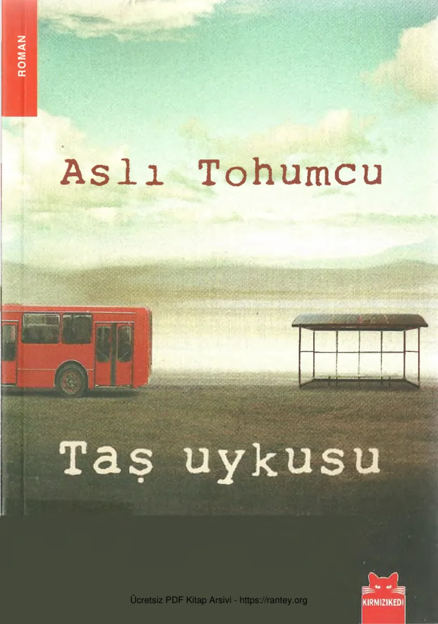 Taş Uykusu kapak görseli
