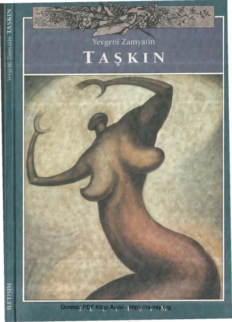 Taşkın kapak görseli