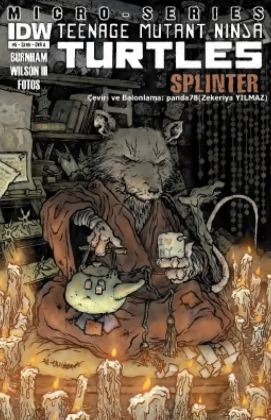 Teenage Mutant Ninja Turtles: Splinter kapak görseli