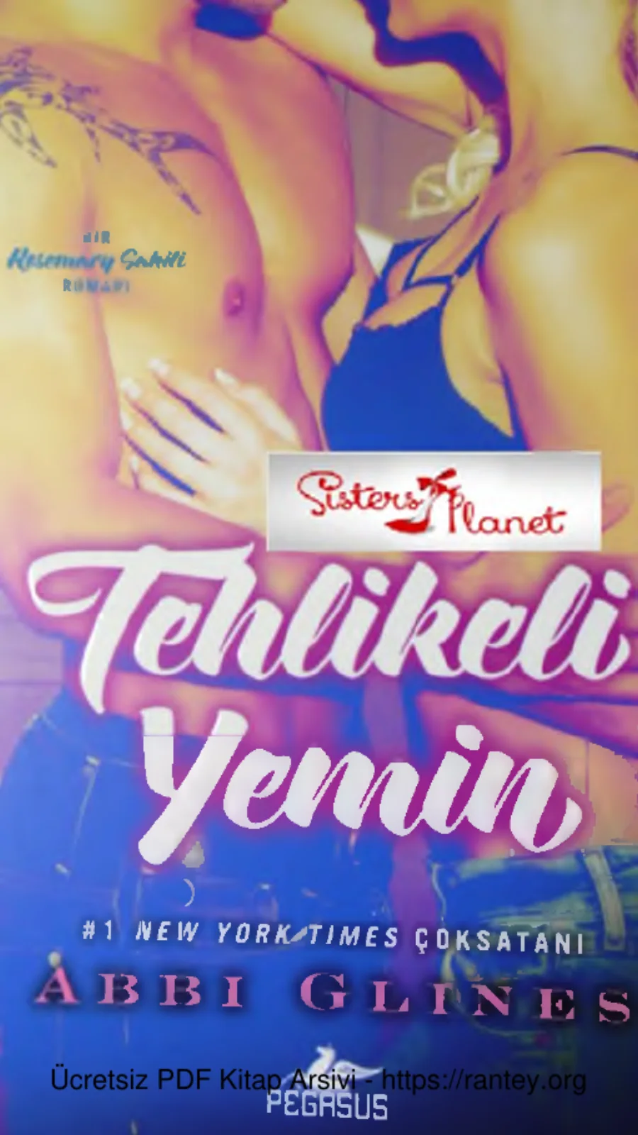 Tehlikeli Yemin Rosemary Sahili 3 kapak görseli