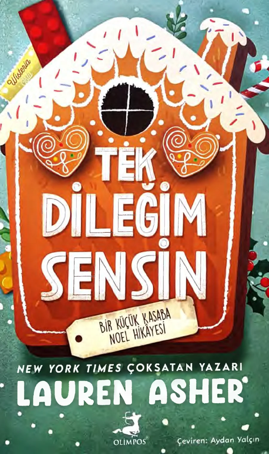 Tek Dileğim Sensin kapak görseli