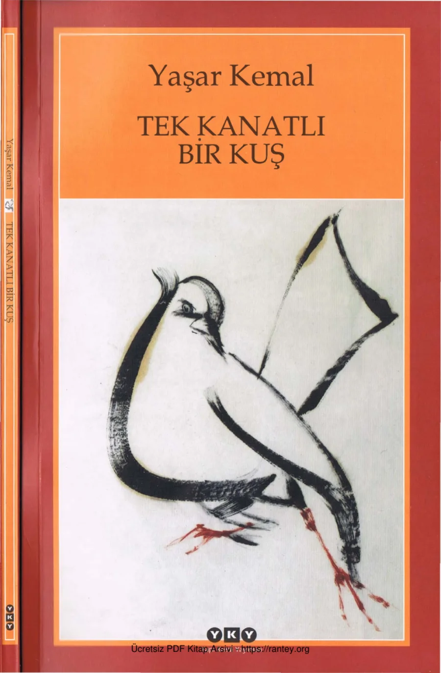 Tek Kanatlı Kuş kapak görseli