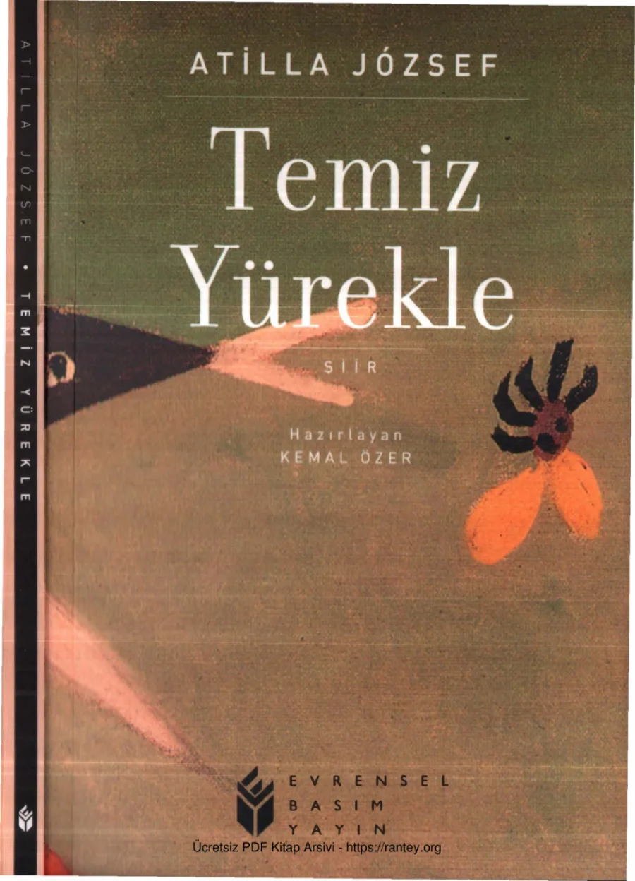 Temiz Yürekle kapak görseli