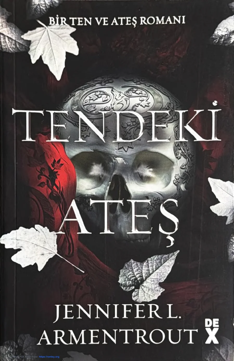 Ten ve Ateş 3: Tendeki Ateş kapak görseli