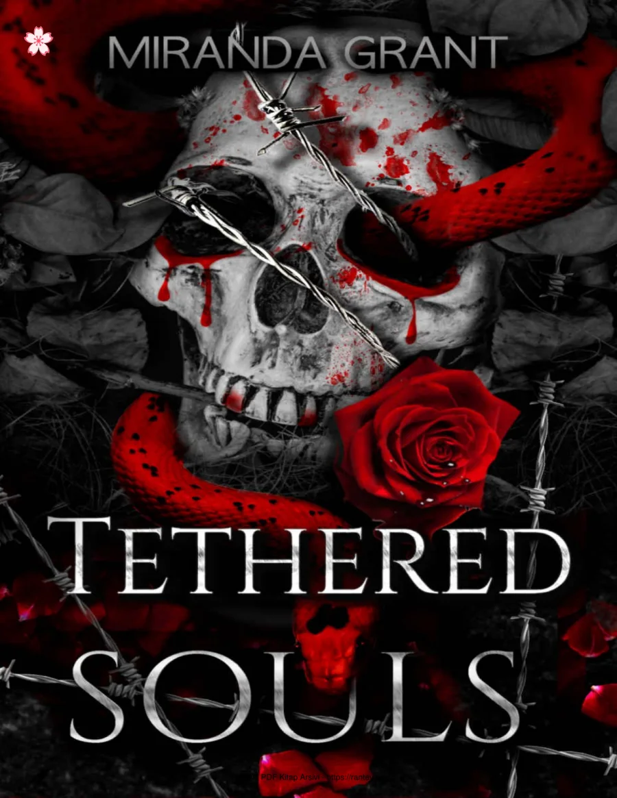 Tethered Souls kapak görseli