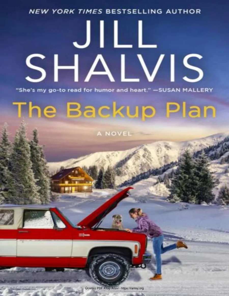 The Backup Plan kapak görseli