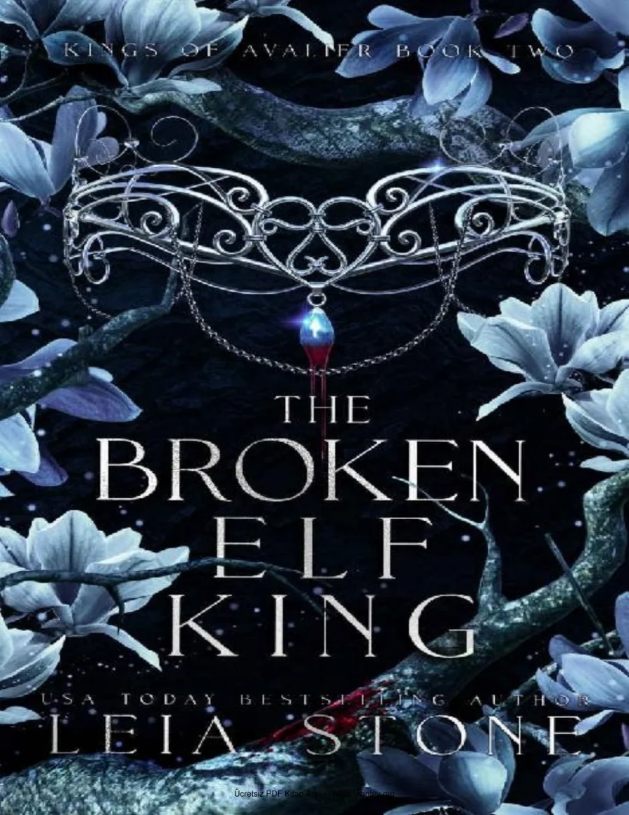 The Broken Elf King kapak görseli