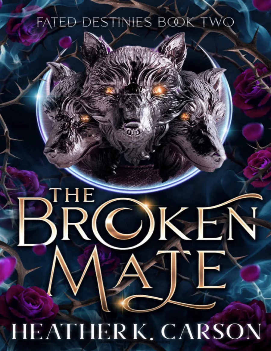The Broken Mate kapak görseli