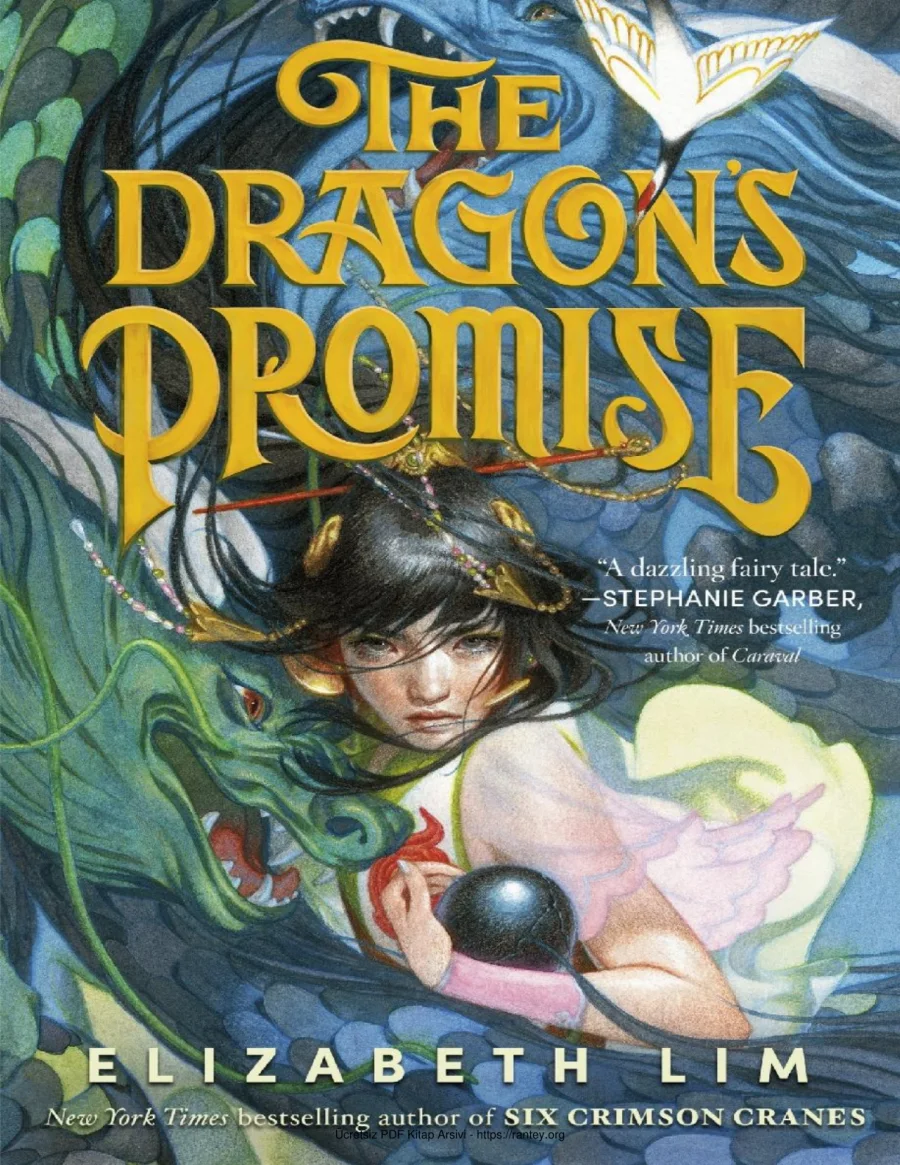 The Dragons Promise kapak görseli
