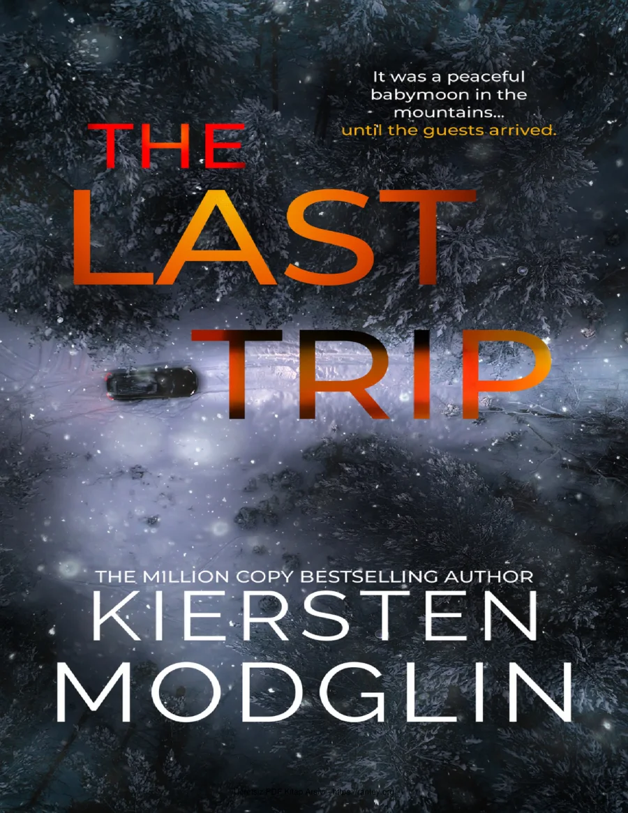 The Last Trip kapak görseli