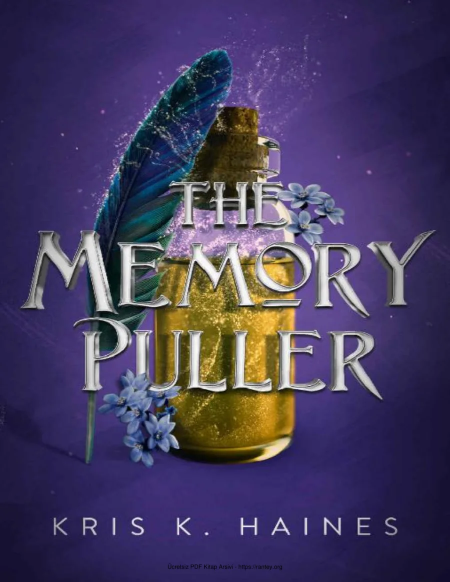 The Memory Puller kapak görseli