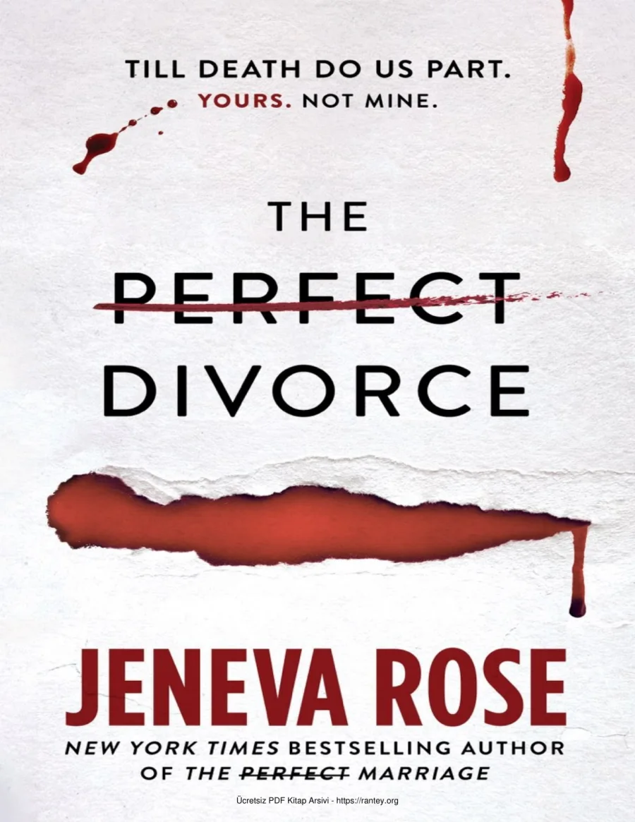The Perfect Divorce kapak görseli