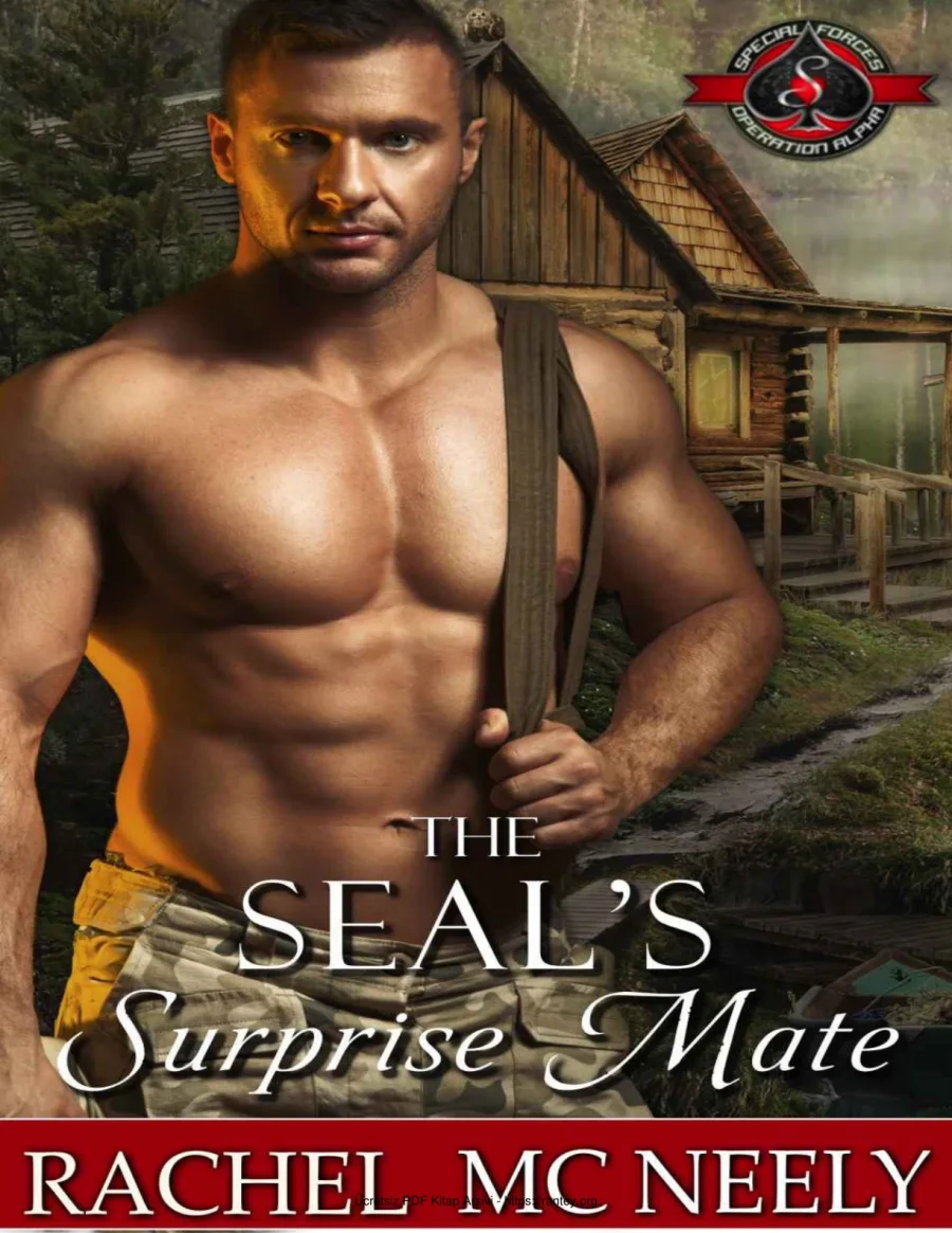 The SEALs Surprise Mate kapak görseli