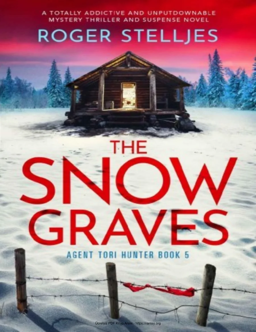 The Snow Graves kapak görseli