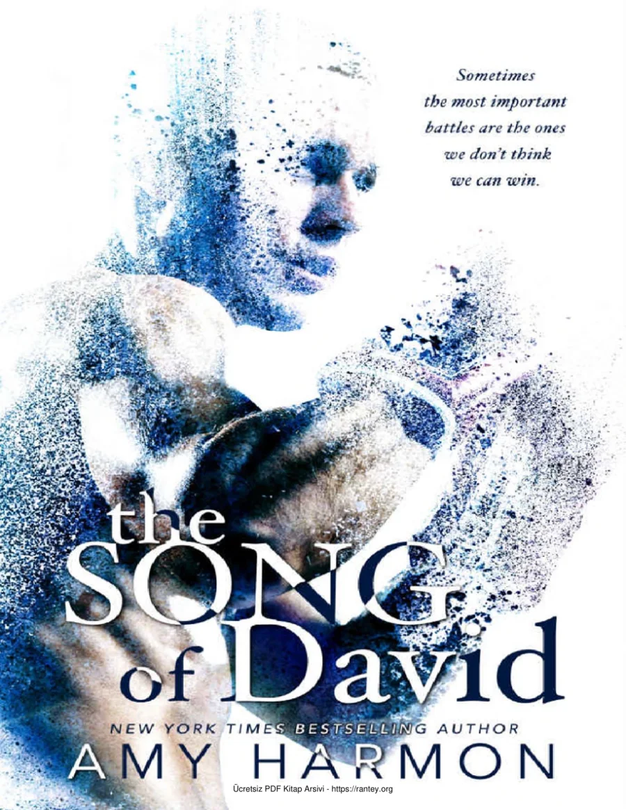 The Song of David kapak görseli