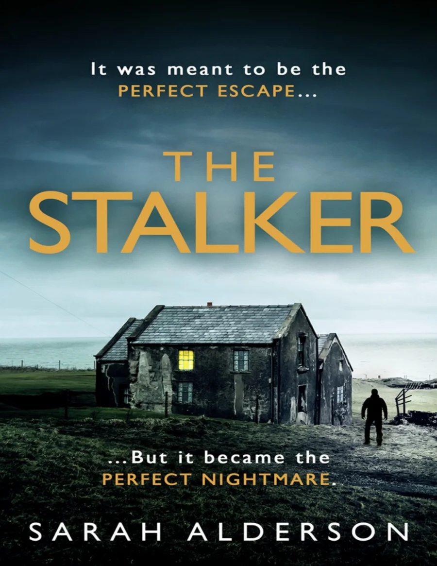 The Stalker kapak görseli