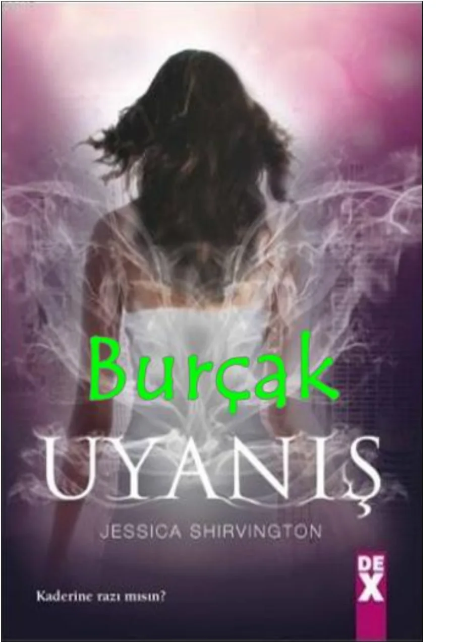 The Violet Eden Chapters 1 Uyanış kapak görseli