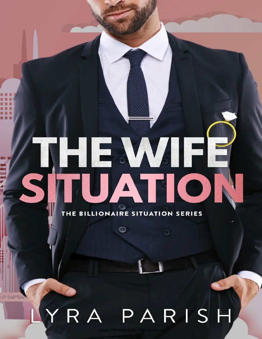 The Wife Situation kapak görseli