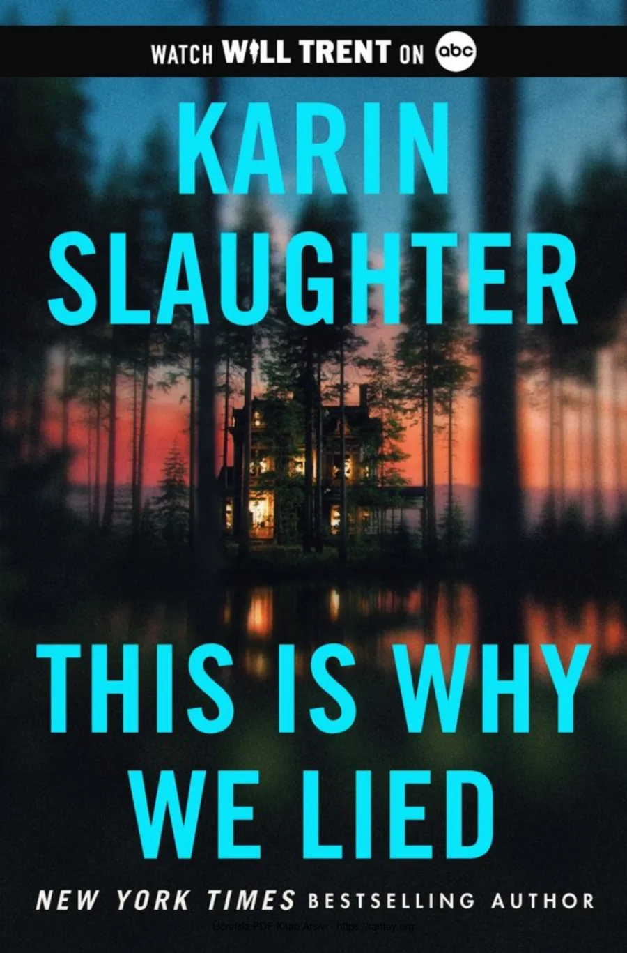 This is Why We Lied kapak görseli