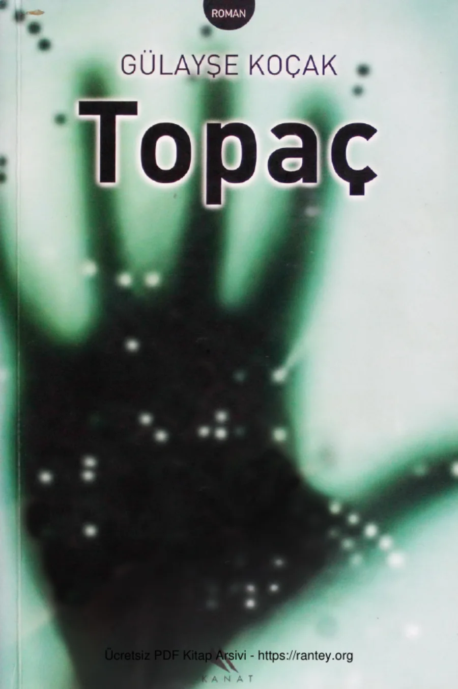 Topaç Kanat Yayınları kapak görseli