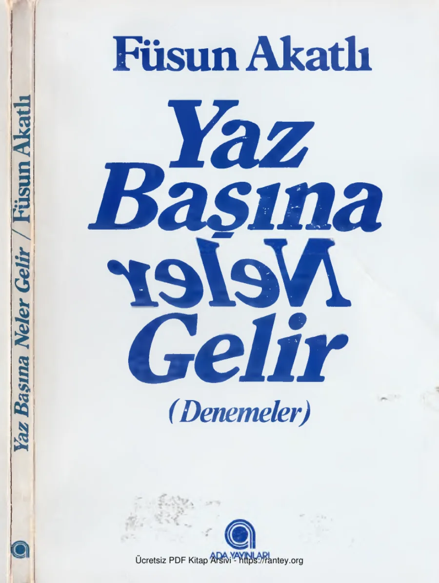 Toplu Eserleri 10 Yaz Başına Neler Gelir kapak görseli