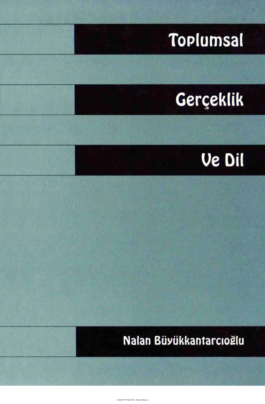 Toplumsal Gerçeklik ve Dil kapak görseli