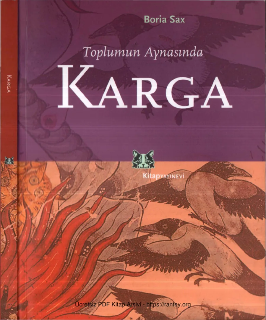 Toplumun Aynasında Karga kapak görseli