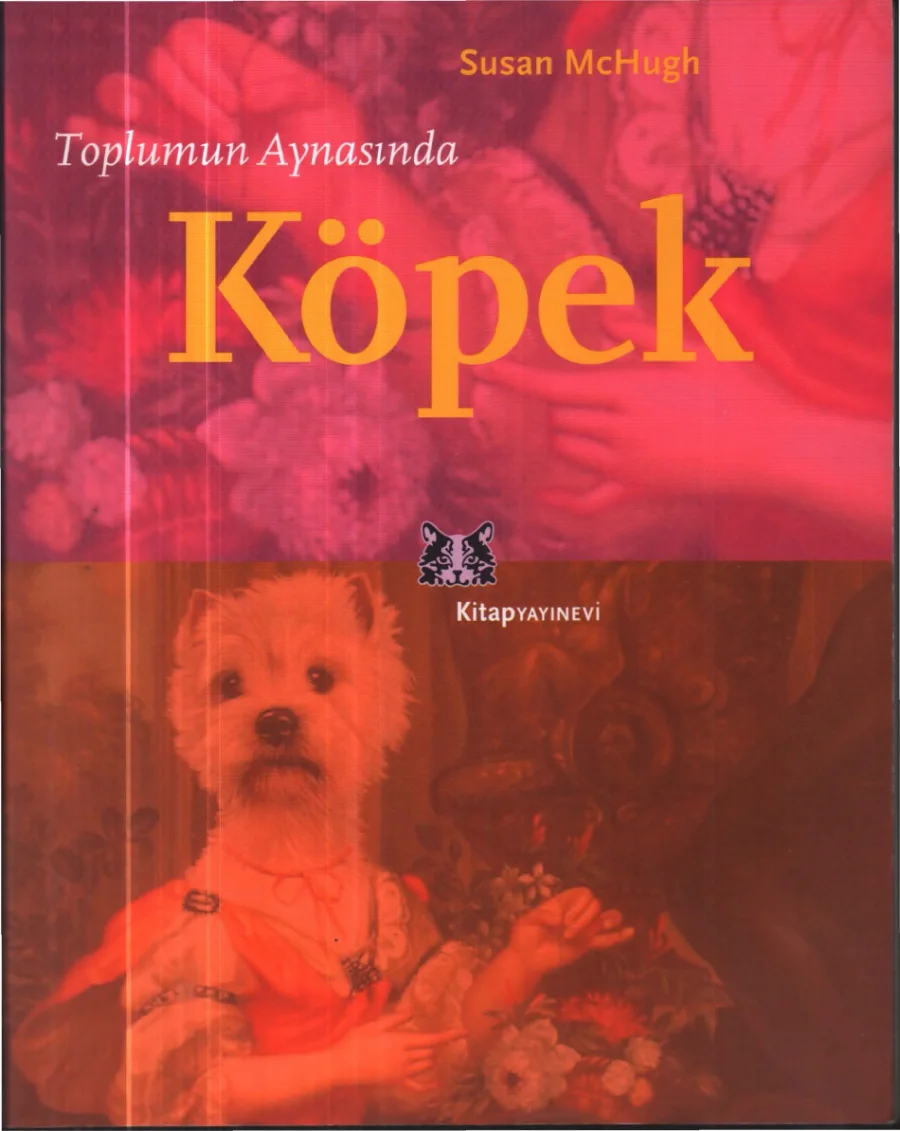 Toplumun Aynasında Köpek kapak görseli
