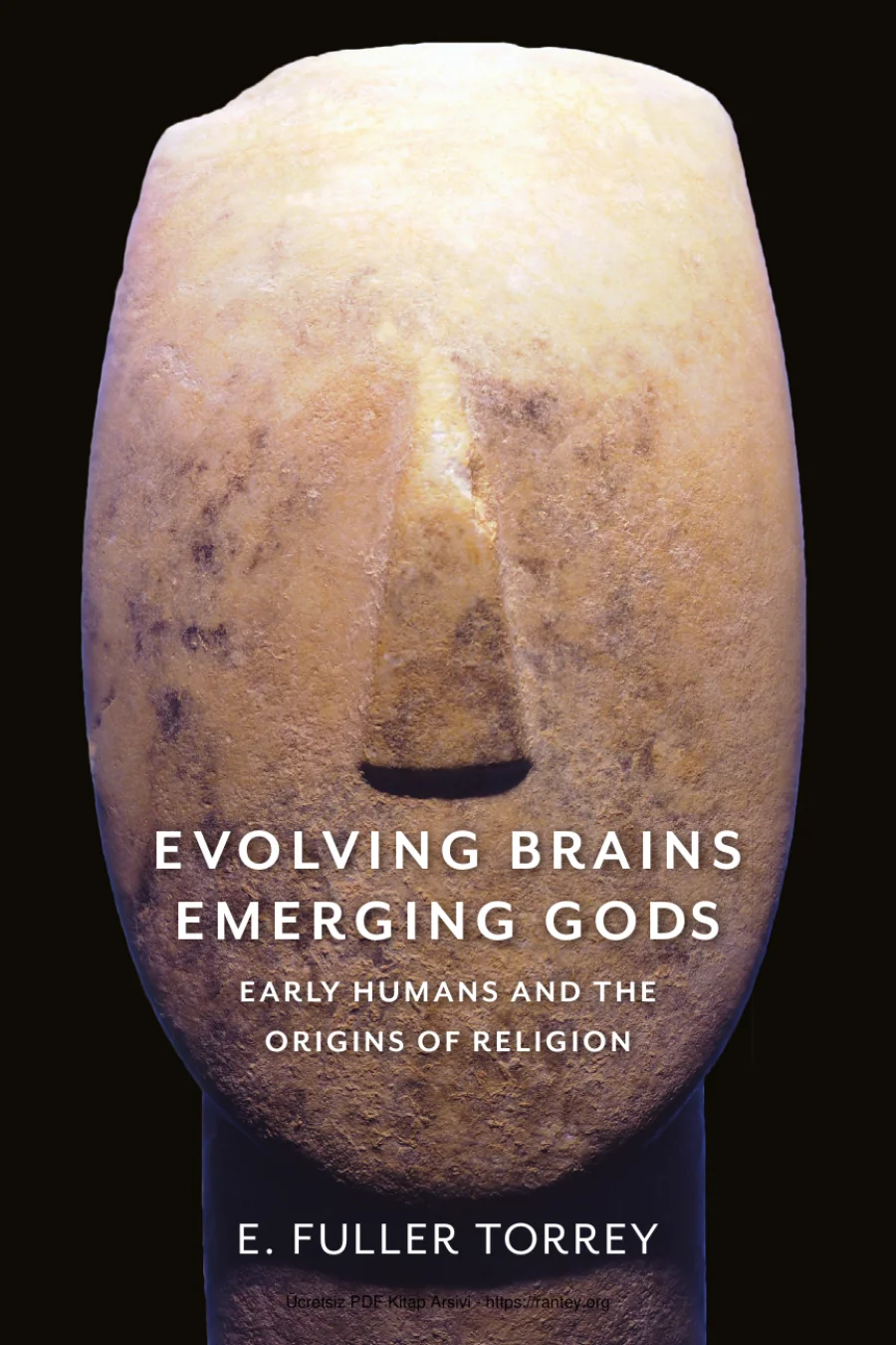 Torrey Evolving Brains Emerging kapak görseli