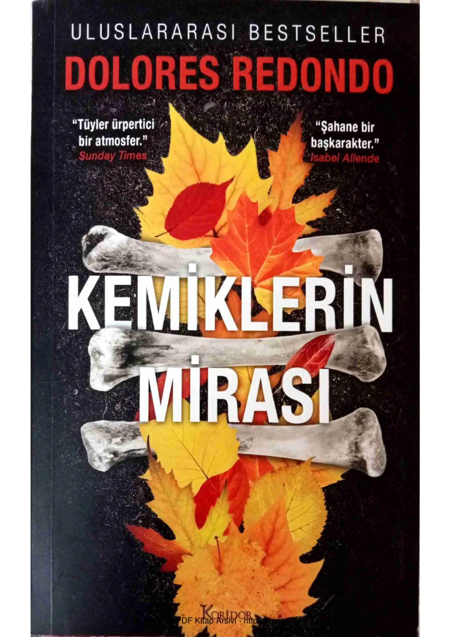 Triloga del Baztn 2 Kemiklerin Mirası kapak görseli