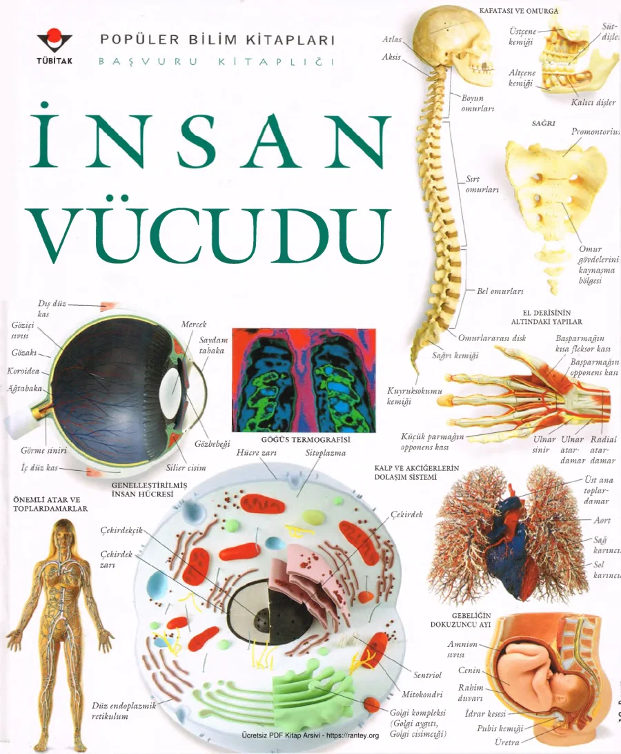 TUBİTAK İnsan Vücudu kapak görseli