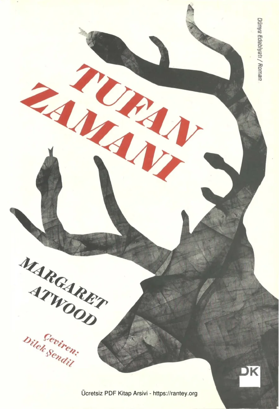 Tufan Zamanı kapak görseli