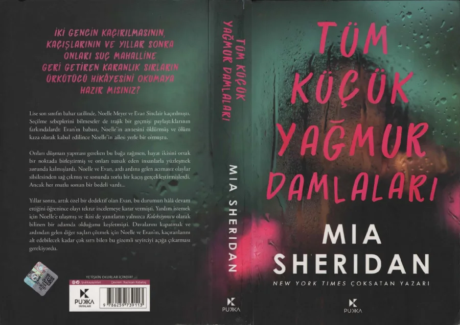 Tüm Küçük Yağmur Damlaları kapak görseli
